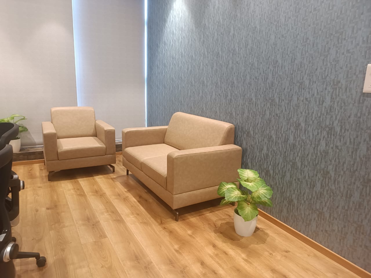 Elegant 3+2 sofa set